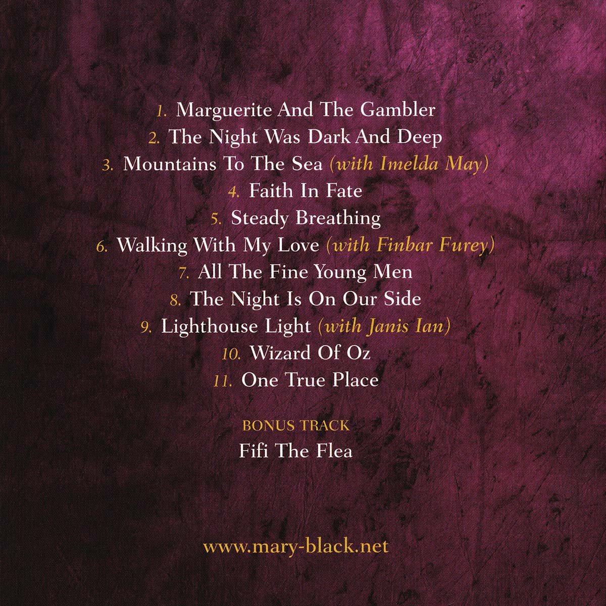 Stories from the Steeples